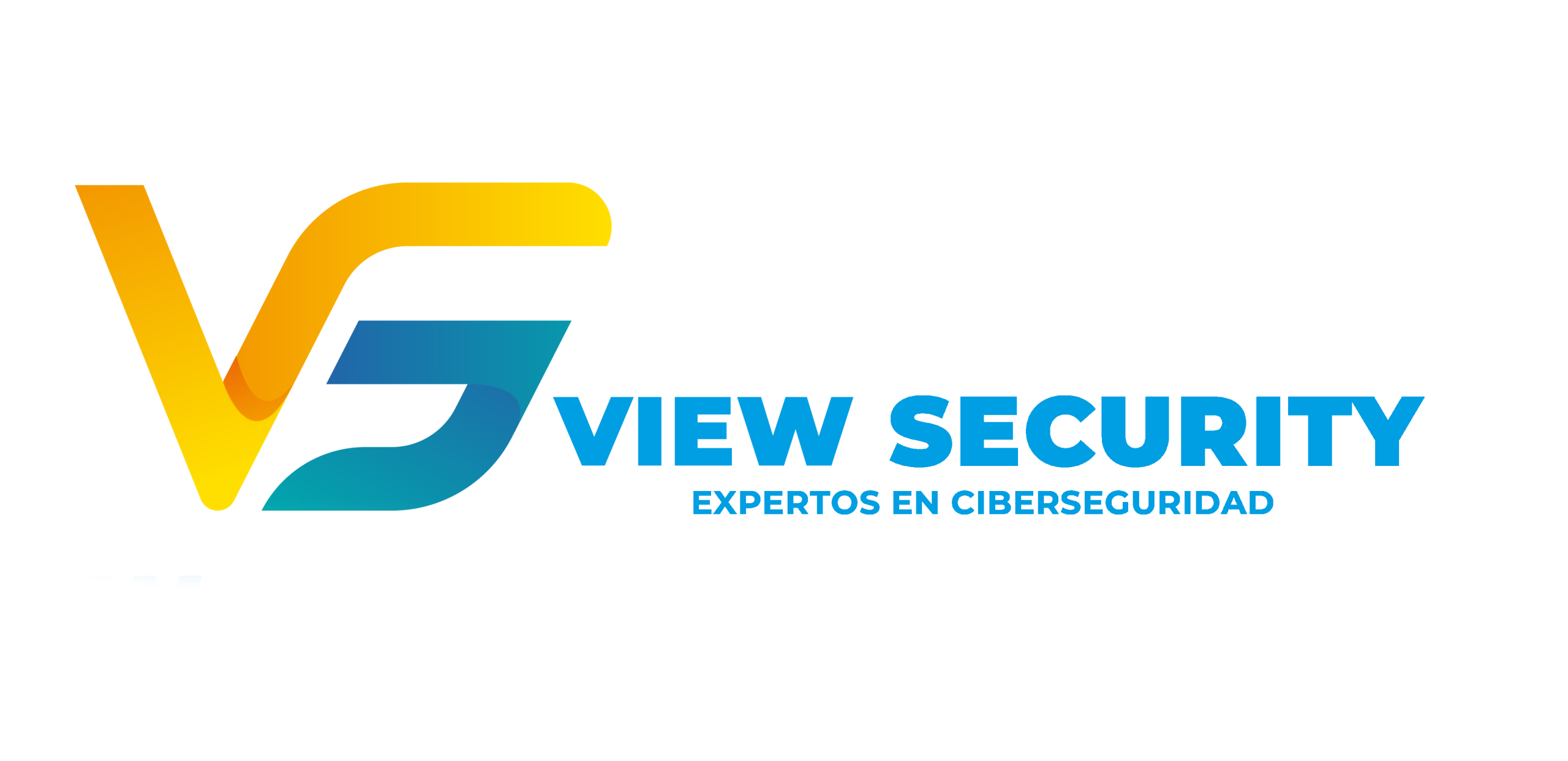 VIEW SECURITY